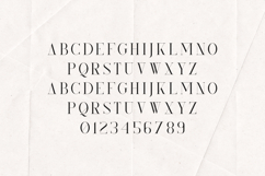 Kindel Elegant Branding Serif Font Product Image 2