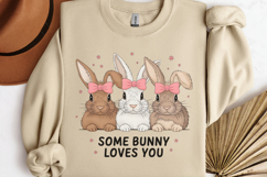 Some bunny loves you PNG, Retro Easter Sublimation PNG Product Image 3