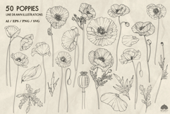 Poppies line art collection Svg Png Eps Product Image 2