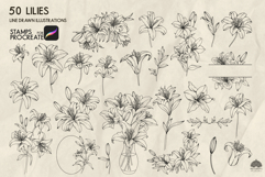 Lily flowers Procreate stamp brushes Product Image 2