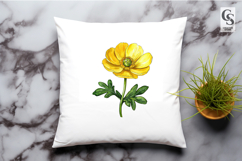 Yellow Buttercup Flower Watercolor Clipart Sublimation PNG Product Image 2