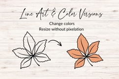Hand Drawn Autumn Leaf SVG Product Image 2