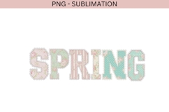 Spring cottage core png design for T-shirts Product Image 2