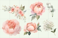 Watercolor Pink Peony Clipart PNG, Pink Peony Ornament Product Image 2