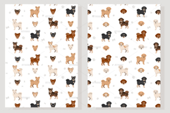 Shiba Poo Shiba Inu Poodle mix Product Image 5