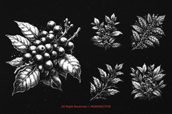 10 Bundle Dark Art Coffee Tree Twig Coffee Bean Plant Tattoo Product Image 3