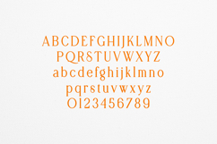 Retro Dream Elegant Vintage Serif Font Product Image 2