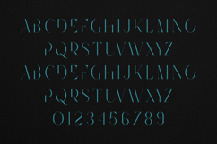 Future Flow Modern Elegant Display Serif Font Product Image 2