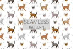 Ocicat clipart Product Image 6