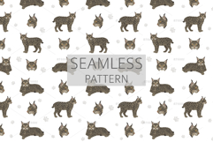 European wild cats clipart Product Image 7