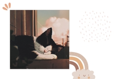 Cartoon Cat Pillow Design, Animals Pillow Template Product Image 2
