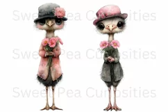 Birds, Ostrich, Ephemera, PNG, watercolor, Clipart Product Image 2