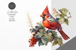 Christmas clipart, Cardinal clipart, Winter clipart Product Image 1