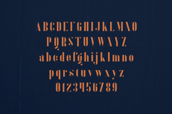 Inure Elegant Modern Serif Font Product Image 2