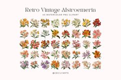 Retro Vintage Alstroemeria Flowers Clipart Bundle Product Image 2