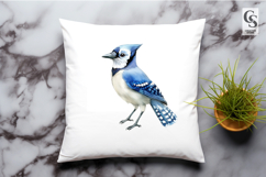 Blue Jay Bird Watercolor Woodland Clipart Sublimation PNG Product Image 3