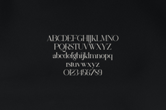 Silver Queen Serif Elegant Typeface for Branding Product Image 2