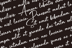 Hiragenda Signature font Product Image 2