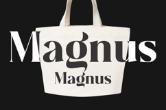 Plakent Product Image 2