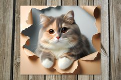 Cats &amp; wall | skinny tumbler Sublimation design bundle Product Image 2