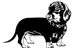 Dachsund dog/Dog Svg/Png/Jpg/Ai/Vector purebred breed/Pet Product Image 3