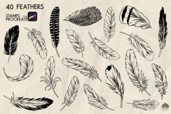 Feathers Procreate stamp brushes Product Image 2
