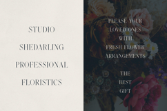 Zyntro Elegant High-Contrast Serif Product Image 2