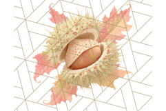 Fall Foliage Clipart PNG, Pink and Green Leaves Product Image 2