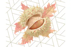 Fall Foliage Clipart PNG, Pink and Green Leaves Product Image 2