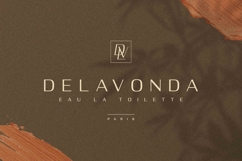Deloire - Modern &amp; Luxury Sans Product Image 2