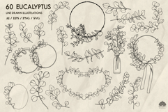 Eucalyptus line art collection Svg Png Eps Product Image 2