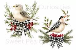 Christmas, Birds, Ephemera, PNG, watercolor, Clipart Product Image 2