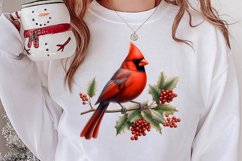 Christmas Cardinal Watercolor Clipart, Christmas Cardinal Product Image 2