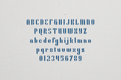 Fika Elegant Decorative Display Serif Font Product Image 2
