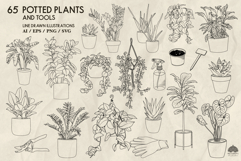 Potted Plants Line Art Collection Svg Png Eps Product Image 2