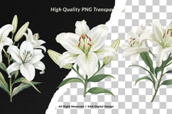 15 Bundle Watercolor White Lily Flower Wedding Minimalist Product Image 2