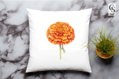 Orange Marigold Flower Botanical Clipart Sublimation PNG Product Image 3