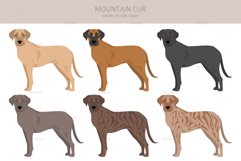 Mountain Cur clipart Product Image 4