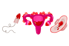 Women Health &amp; Period Care Clipart: Aesthetic Product Image 2