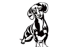 Dachsund dog/Dog Svg/Png/Jpg/Ai/Vector purebred breed/Pet Product Image 3
