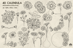 Calendula line art collection Svg Png Eps Product Image 2