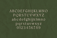 Creators Type Organic Editorial Serif Font Product Image 2
