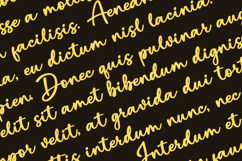 Blottocke a Handwritten Font Product Image 2