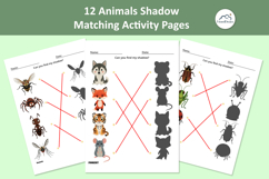 12 Animal Shadow Matching Activity Pages for Toddlers Product Image 1