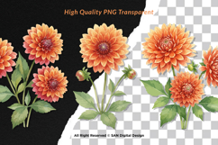 15 Bundle Watercolor Dahlia Flower Blossom Orange Floral Product Image 2