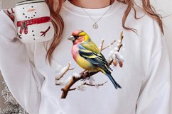 Christmas Birds Clipart , Christmas Birds Clipart Product Image 2