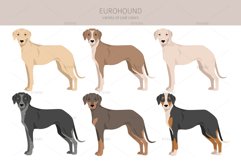 Eurohound clipart Product Image 4