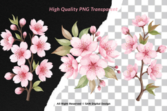 15 Bundle Watercolor Sakura Flower Cherry Blossom Japanese Product Image 2