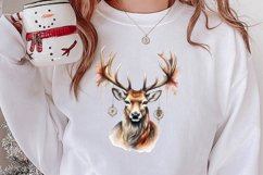Watercolor Christmas Deer Sublimation Bundle, Christmas Deer Product Image 2