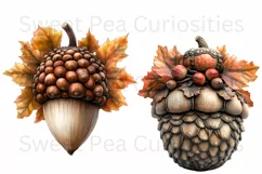 Fall Autumn, Acorns, Halloween, Ephemera, PNG, Clipart Product Image 2